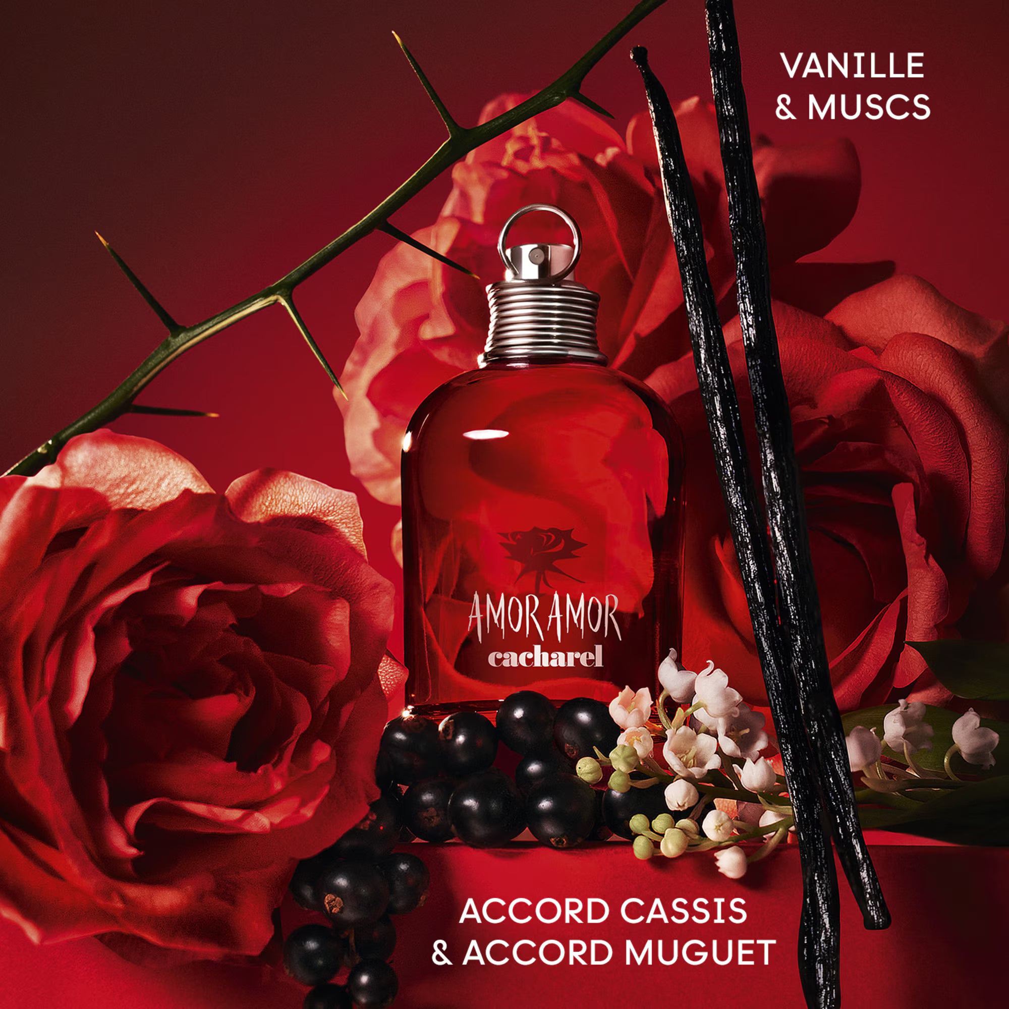 CACHAREL AMOR AMOR Eau de toilette