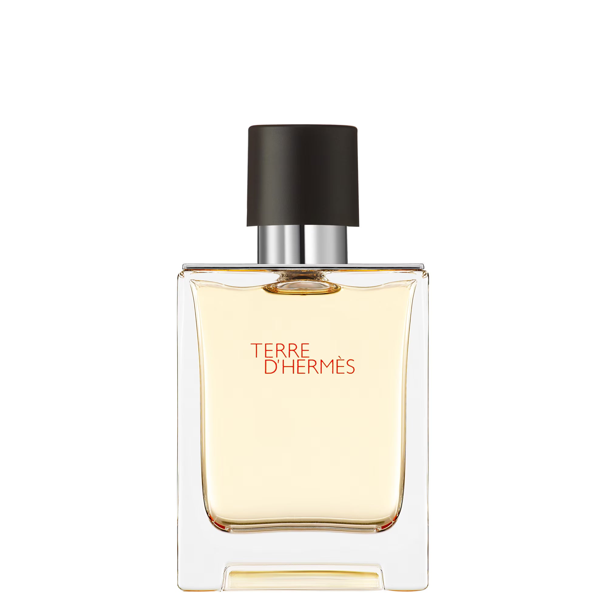 Hermès TERRE D'HERMÈS Eau de toilette
