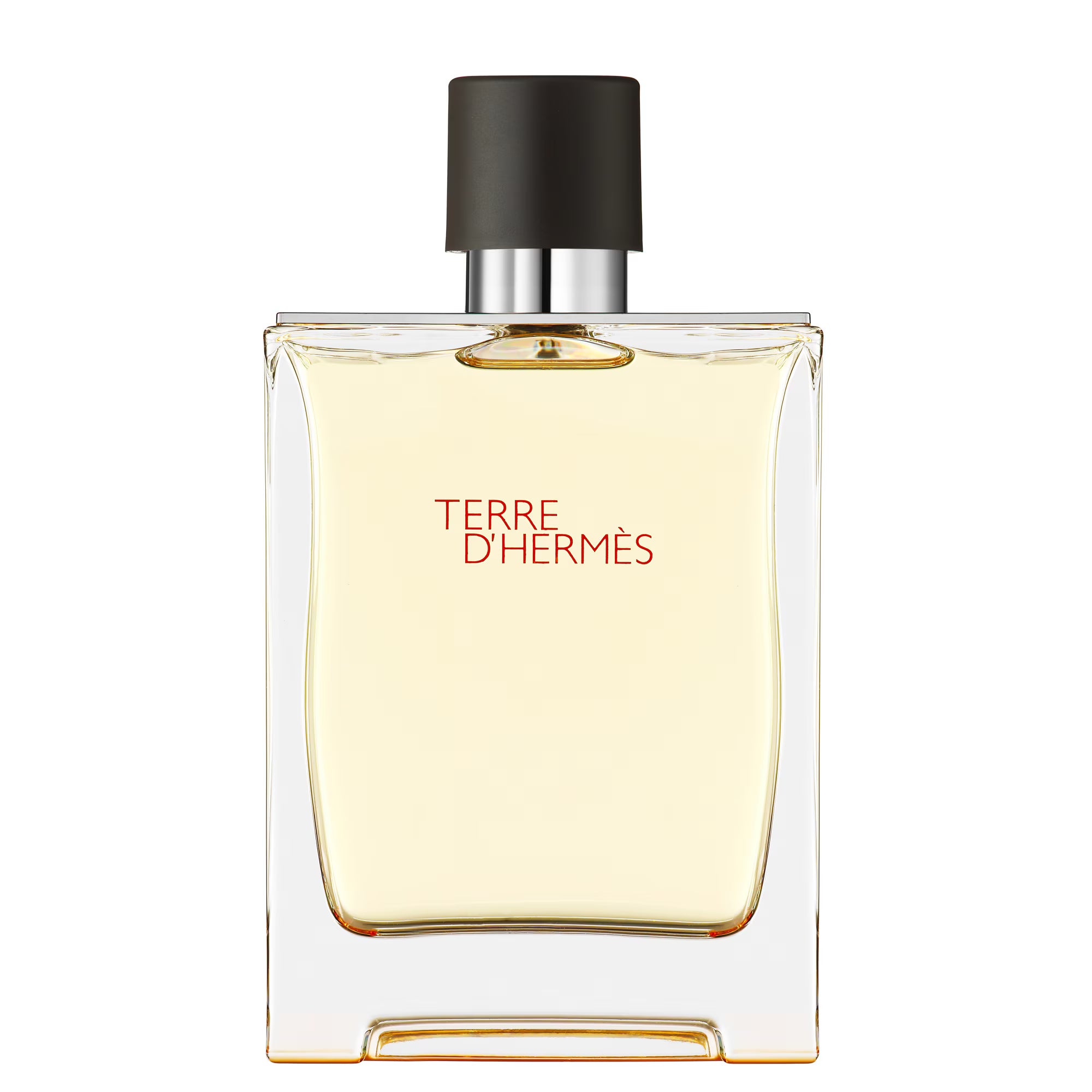 Hermès TERRE D'HERMÈS Eau de toilette