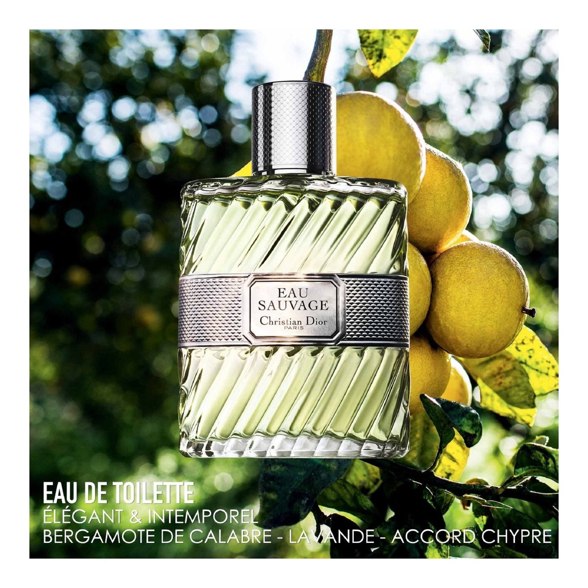 DIOR EAU SAUVAGE Eau de toilette - flacon