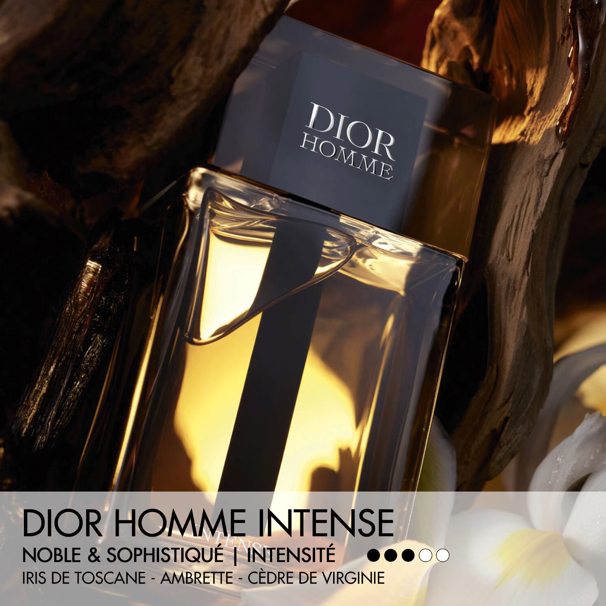 DIOR DIOR HOMME INTENSE Eau de parfum