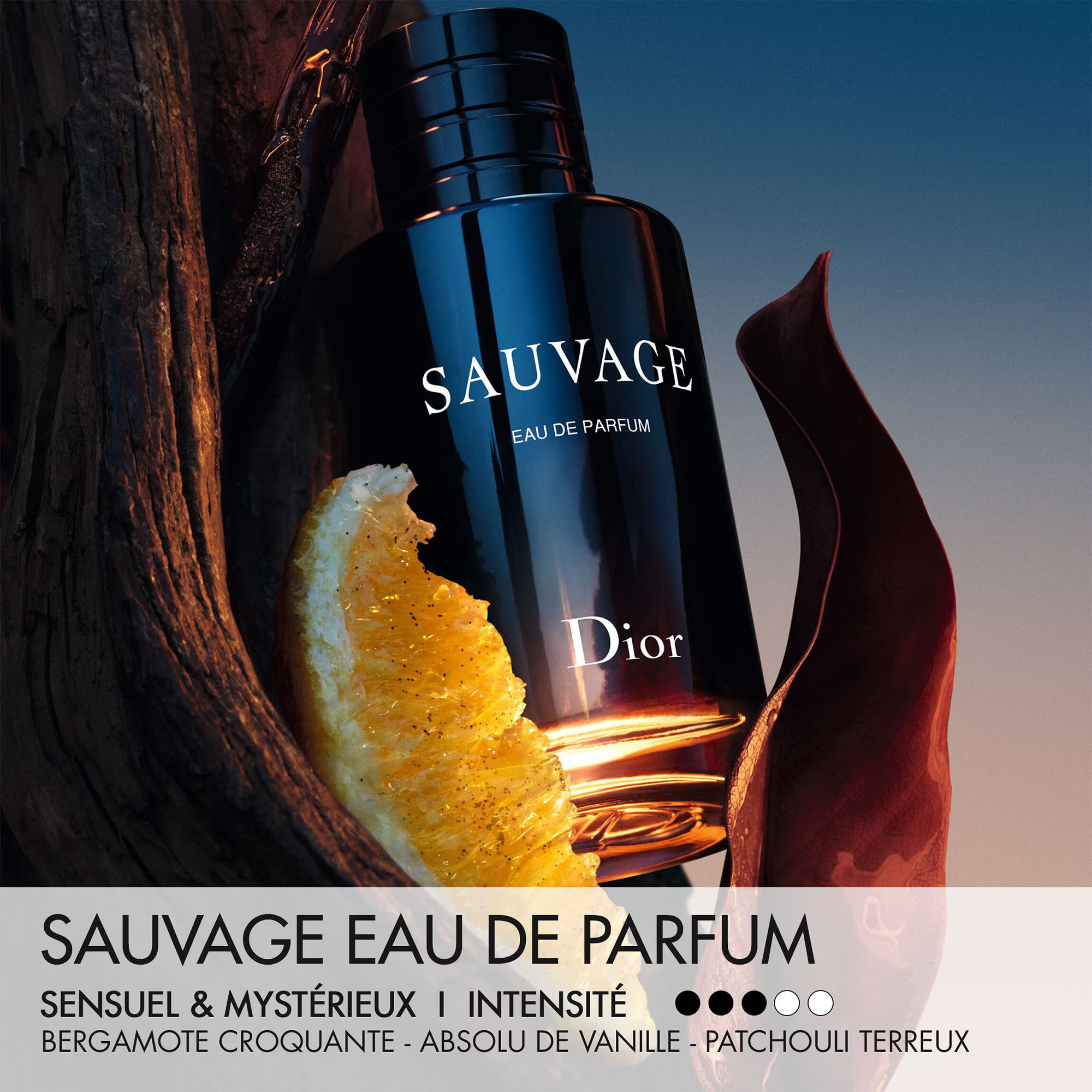 DIOR SAUVAGE Eau de parfum