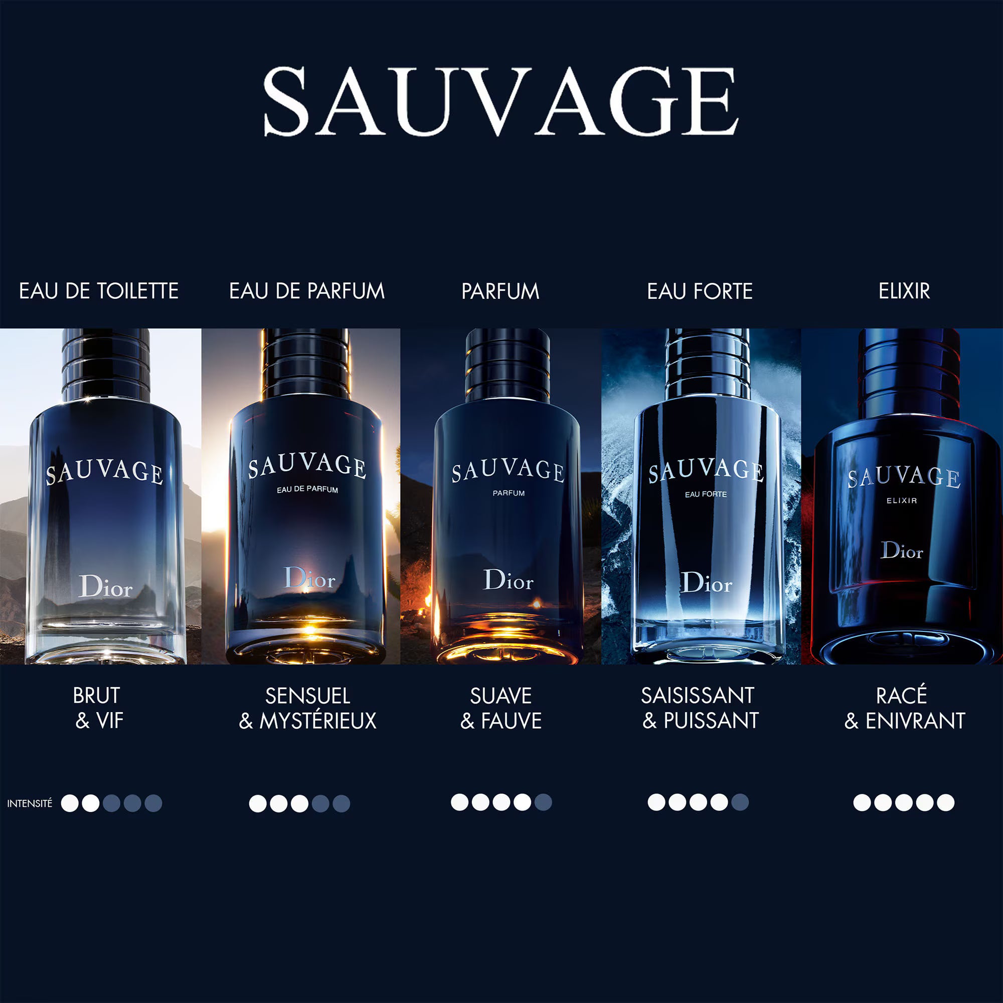 DIOR SAUVAGE Parfum