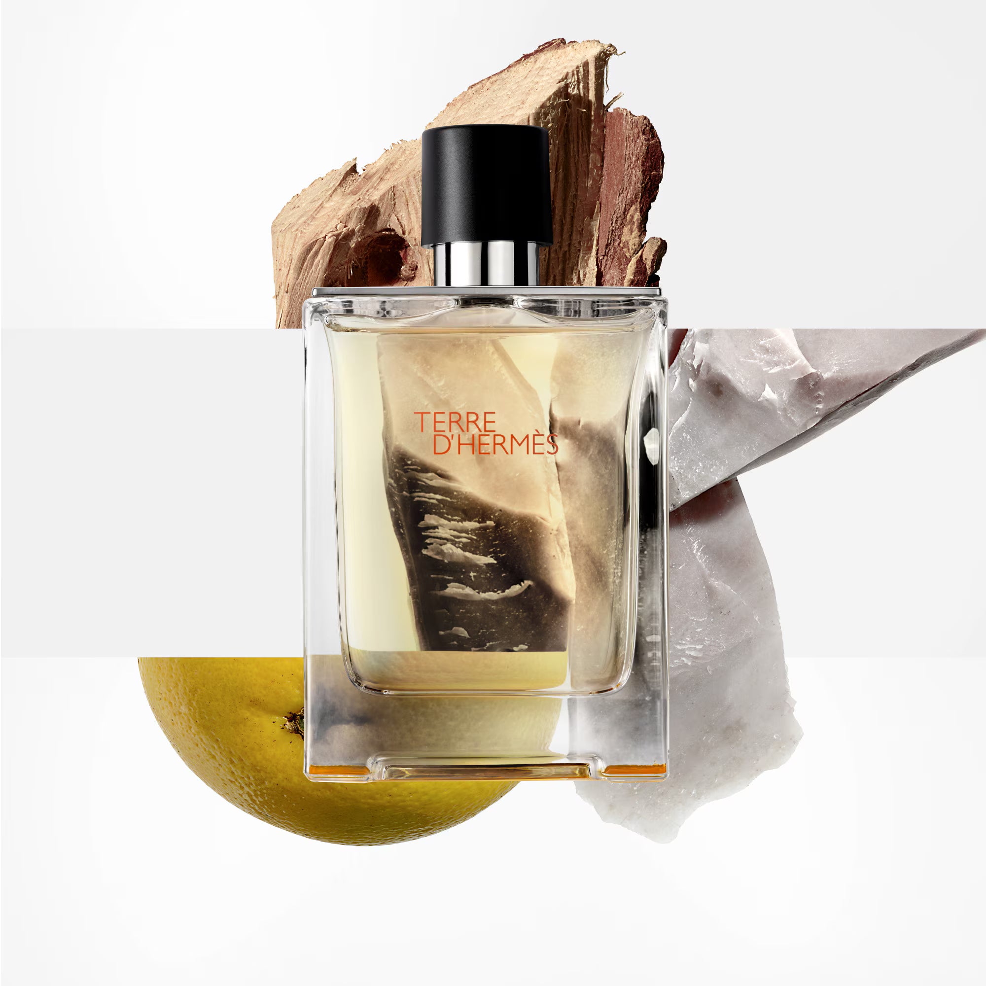 Hermès TERRE D'HERMÈS Eau de toilette