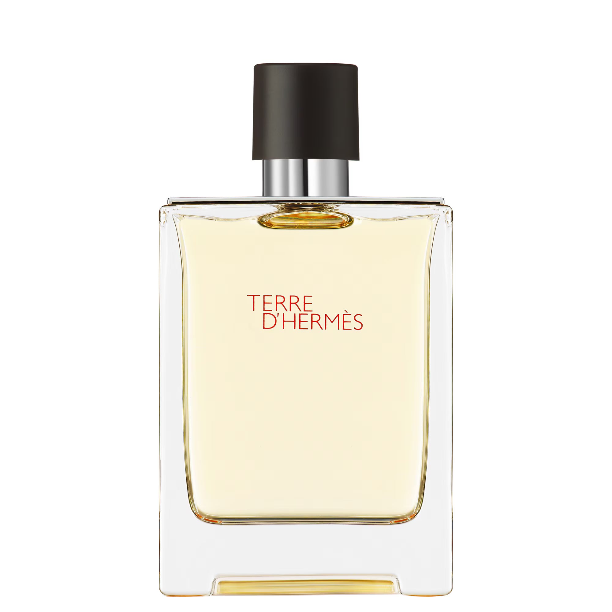 Hermès TERRE D'HERMÈS Eau de toilette