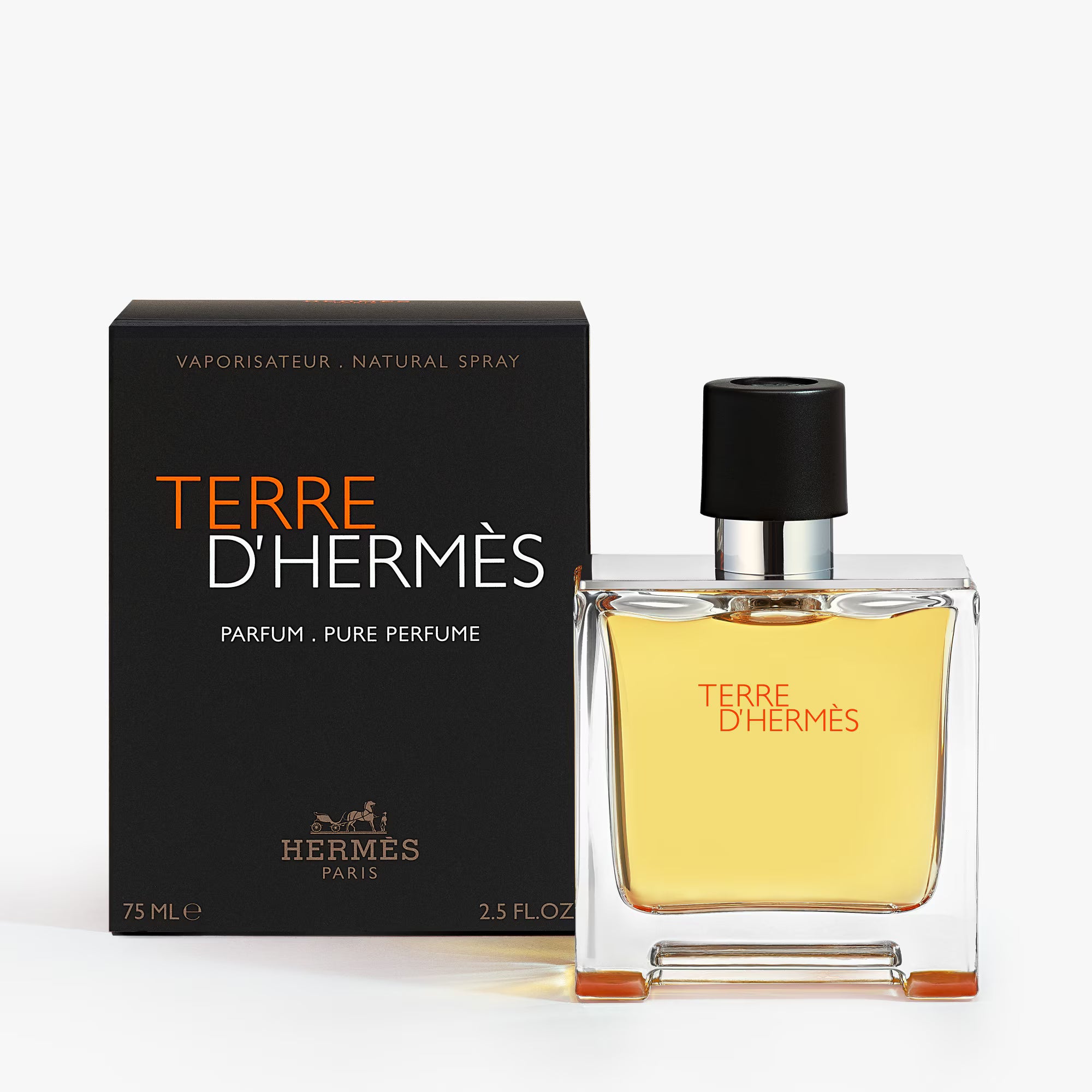 Hermès TERRE D'HERMÈS Parfum