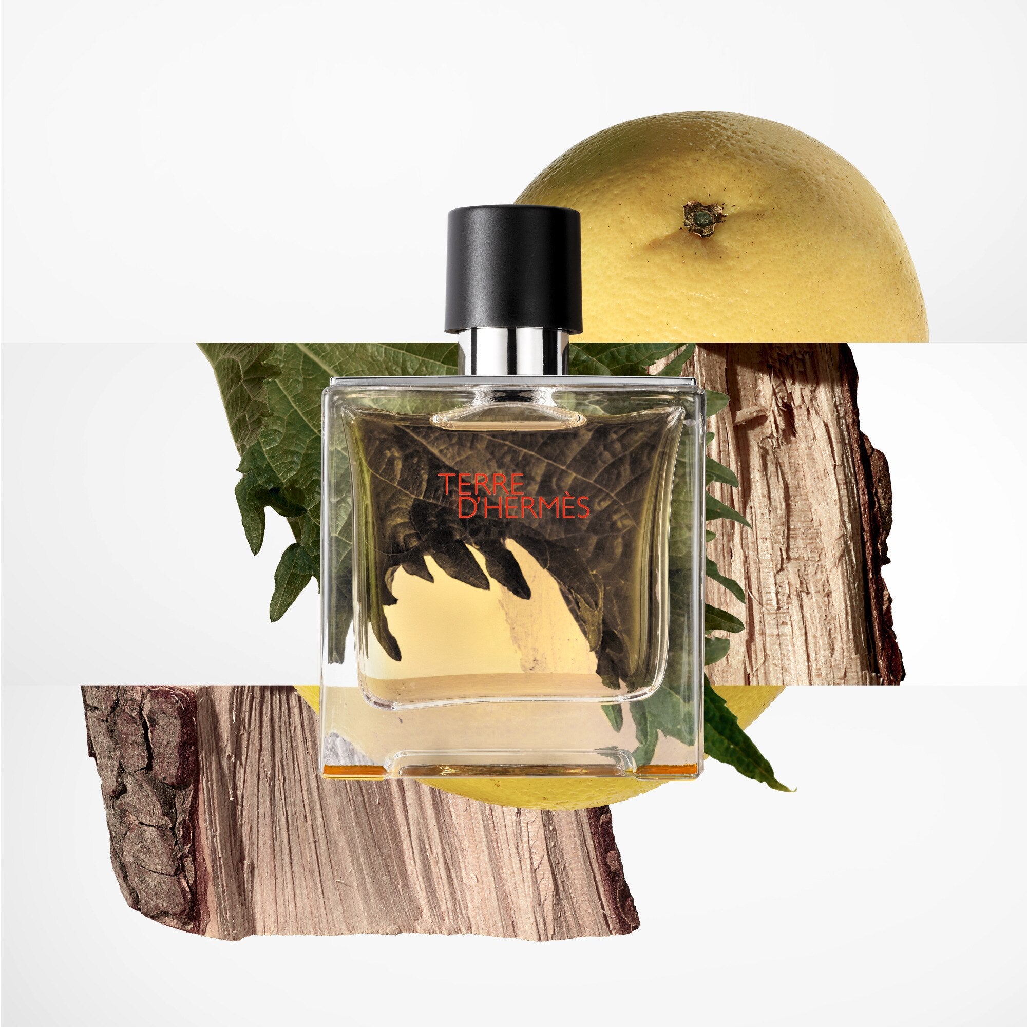 Hermès TERRE D'HERMÈS Parfum