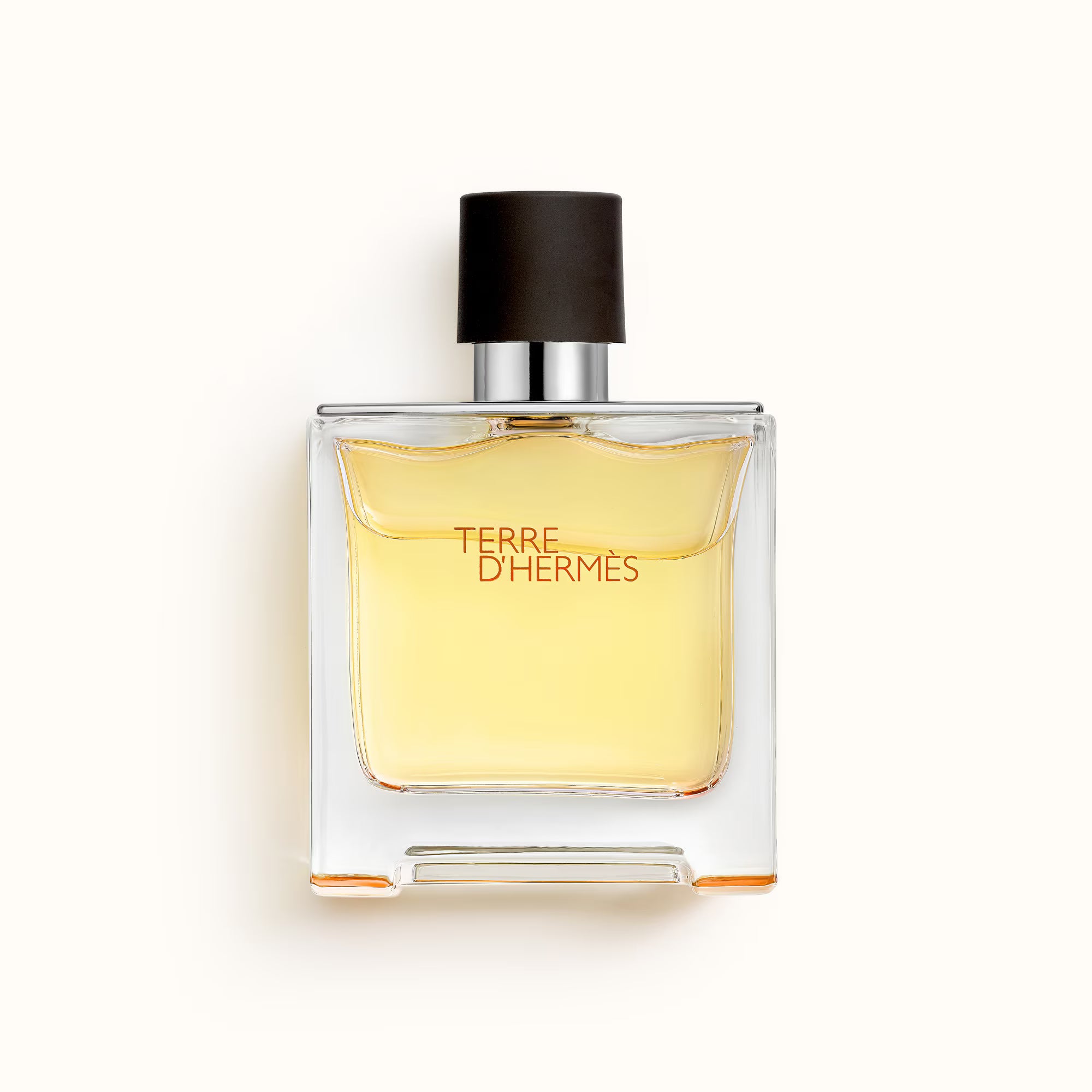 Hermès TERRE D'HERMÈS Parfum