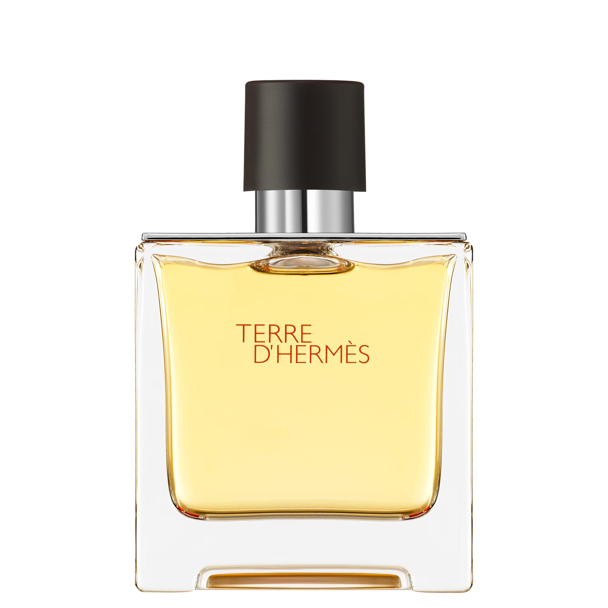 Hermès TERRE D'HERMÈS Parfum