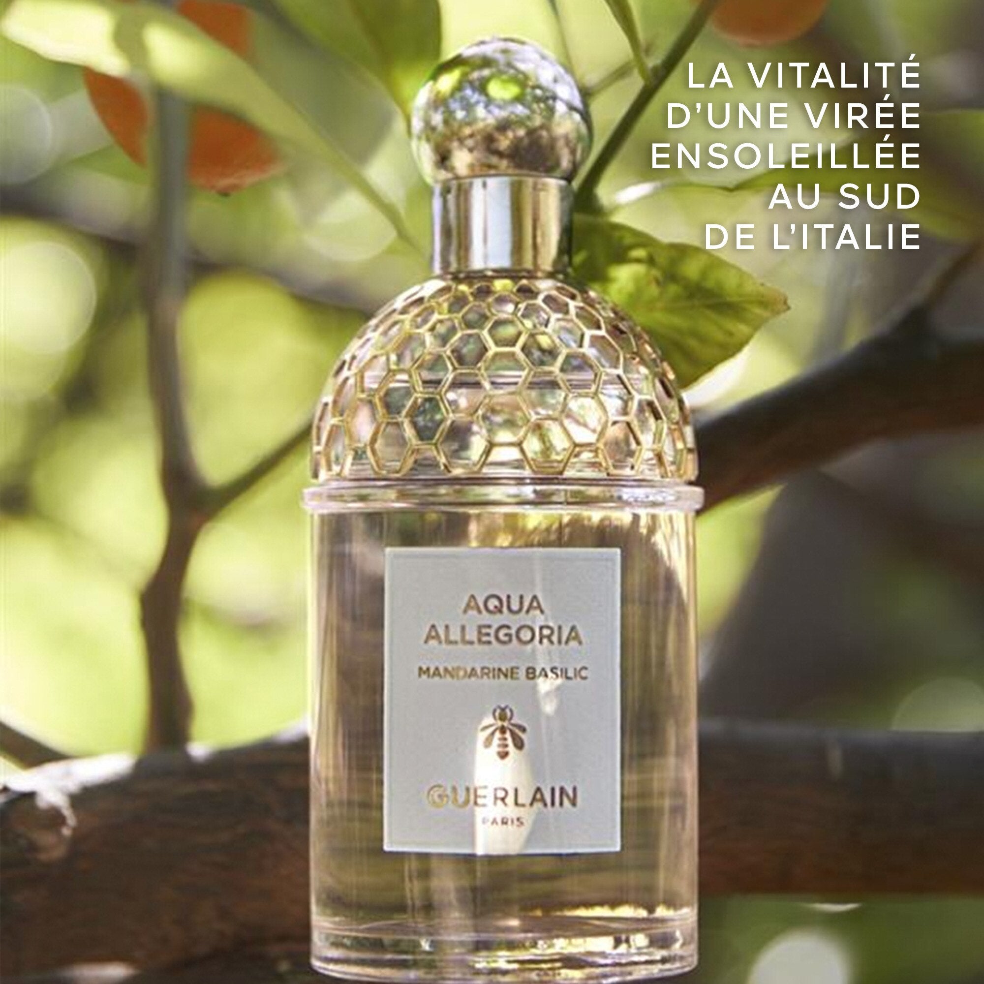 Guerlain AQUA ALLEGORIA Mandarine basilic