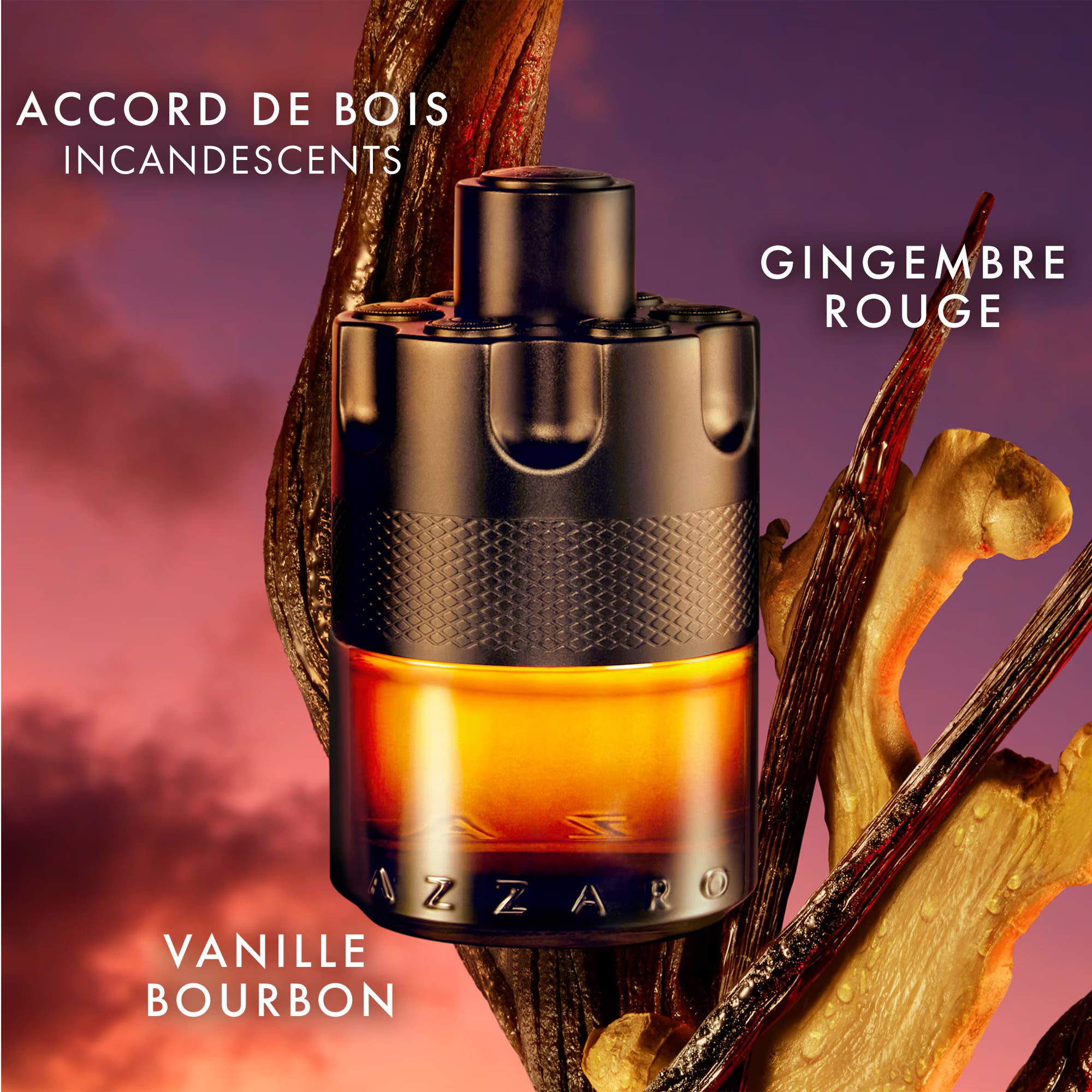 AZZARO THE MOST WANTED Parfum