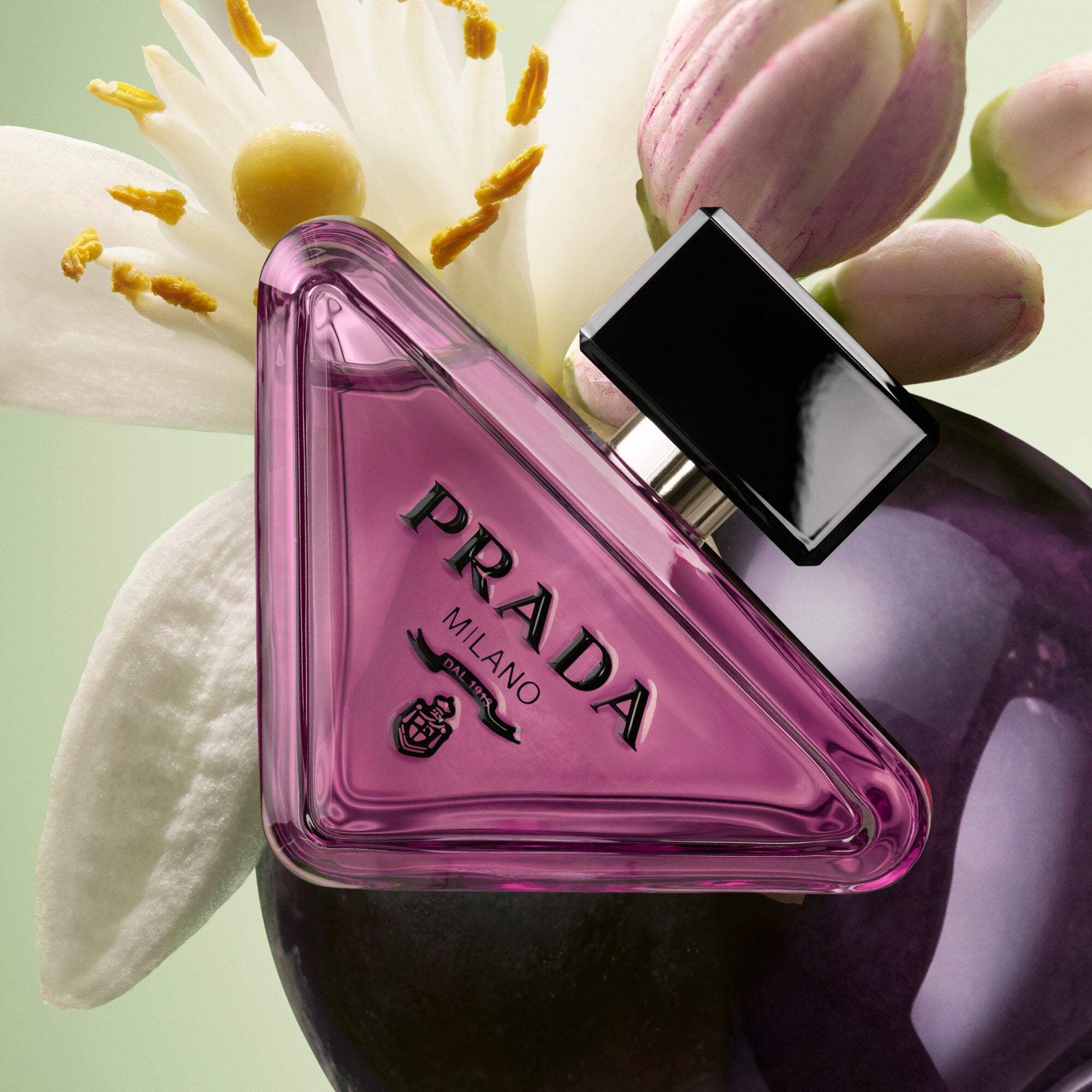 Prada PARADOXE SWEET CHEMISTRY Parfum